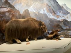 -陕西自然博物馆