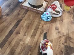 -袖虎·猫馆(体育西路店)