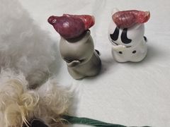 -科道动物医院·急重症中心(万达院)