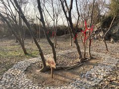 -太湖游船(石公山码头)