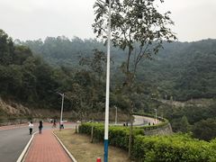 -火炉山森林公园