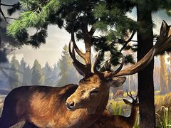 -陕西自然博物馆