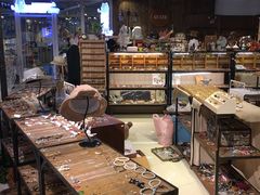 -小时光咖啡馆(开森度假森林店)