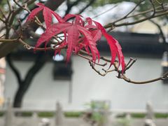 -安亭老街