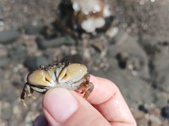 -海合安青岛极地海洋公园