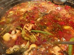 -小饕荟雅安贡椒鱼鲜馆(广福桥店)
