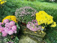 -杭州植物园