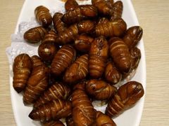 蚕蛹-关东小磨东北菜(上海长风大悦城店)