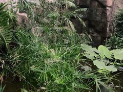 -滕头生态酒店(奉化店)