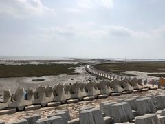 -南汇嘴观海公园