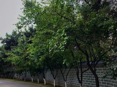 -龙潭大峡谷自然风景区