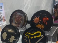 -半岛宠物医院24小时(白果林店)