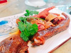 -先机泉水鸡汤(南山老君洞店)