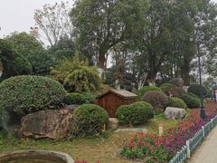 -炉鱼(云澜湾店)