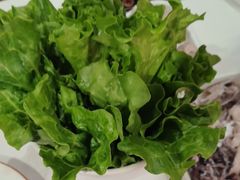 -八合里潮汕鲜牛肉火锅(吉大店)