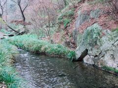 -木兰云雾山