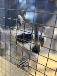 -酷嗒动物文化乐园(cutezoo西溪乐天城店)