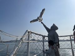 -海驴岛(荣成市)