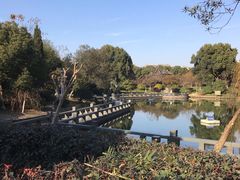 -花溪公园