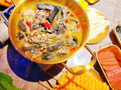 -Darling Queen·Mini·Live·House