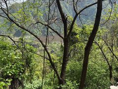 -秦岭终南山世界地质公园翠华山景区