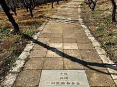 -无锡梅园公园