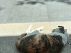 -屋里家延边朝鲜族冷面(梅林3店)