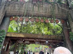 -西双版纳原始森林公园