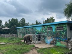 -西安秦岭野生动物园
