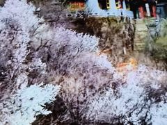 -高尔山公园