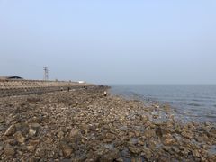 -东疆建设开发纪念公园