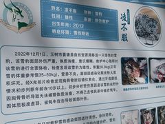 -青藏高原野生动物园