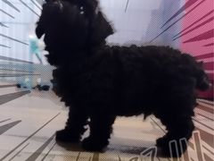 -新达口腔(华东理工大学店)
