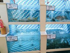 -野渡坡·极致湘菜·庭院餐厅(汉阳店)