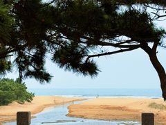 -日照海滨国家森林公园