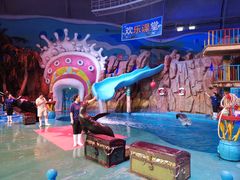 -烟台海昌鲸鲨海洋公园