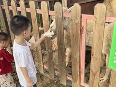 -王借岗森林公园