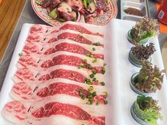 -杨小佳·齐齐哈尔烤肉·烤串(广州店)