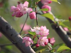 -西湖风景区-江洋畈生态公园