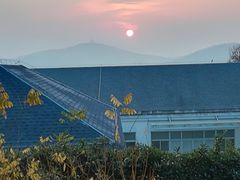 -上海市保健医疗中心(华东疗养院)