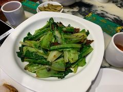 -海王老记