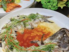 -粤盛海鲜平价店(洛溪食街店)