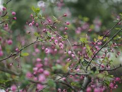 -天鹅湖体育公园