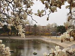 -国家植物园南园