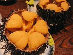 黑海胆-桂马·日本料理·海胆·海鲜饭·酒场(民主广场店)