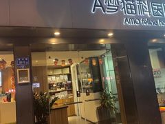 -御宝贝·A梦猫科宠物医院(国际猫友好医院)