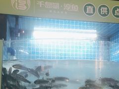 -千岛湖小鱼儿·淳安匠心农家菜