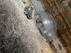 -正佳雨林生态植物园