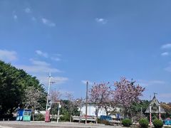 -长洲渡车船码头