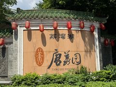 -侨美·唐荔园·40年地道粤菜